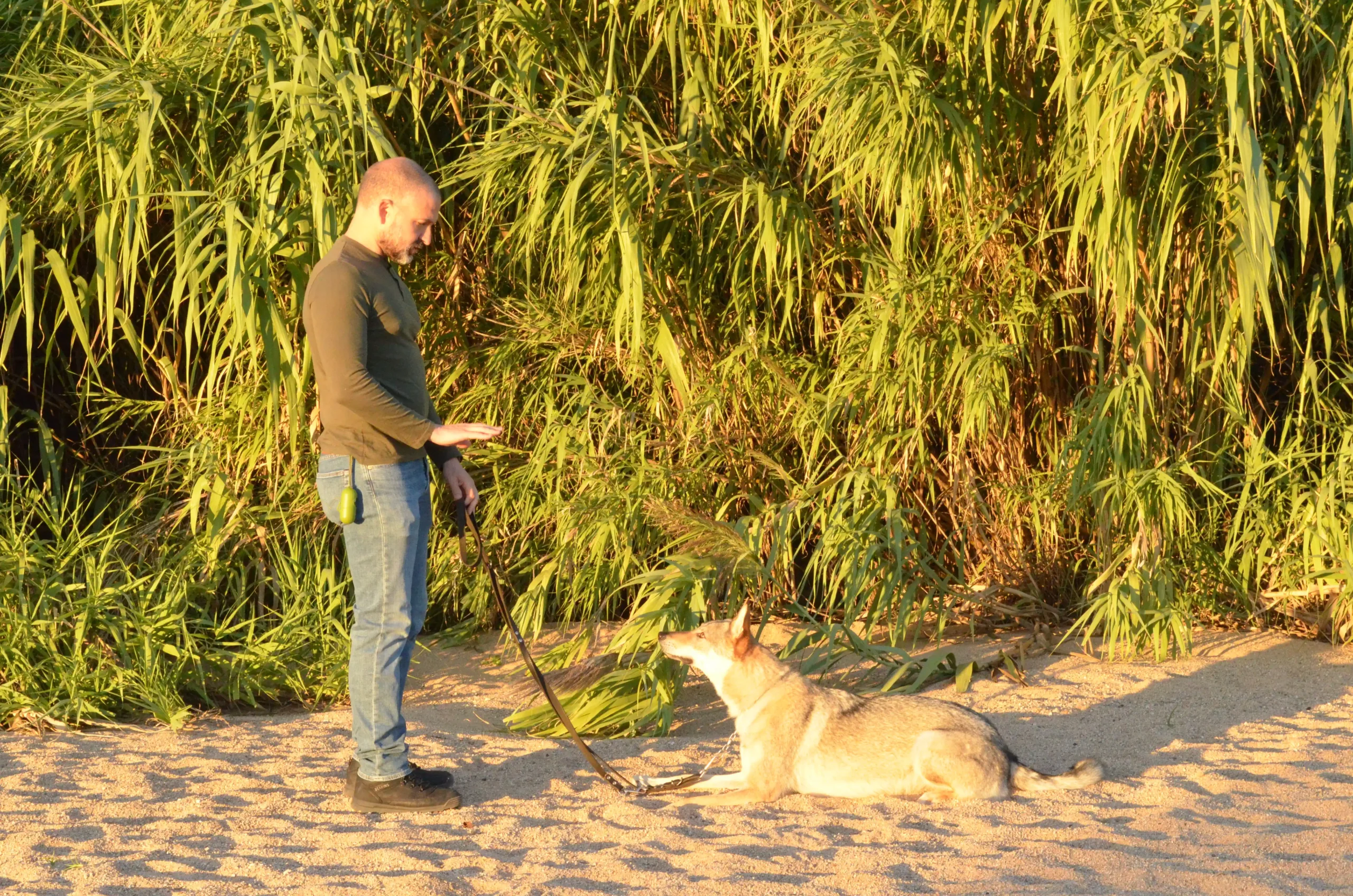 Fali Nondedeu 2 DSC 0038 scaled