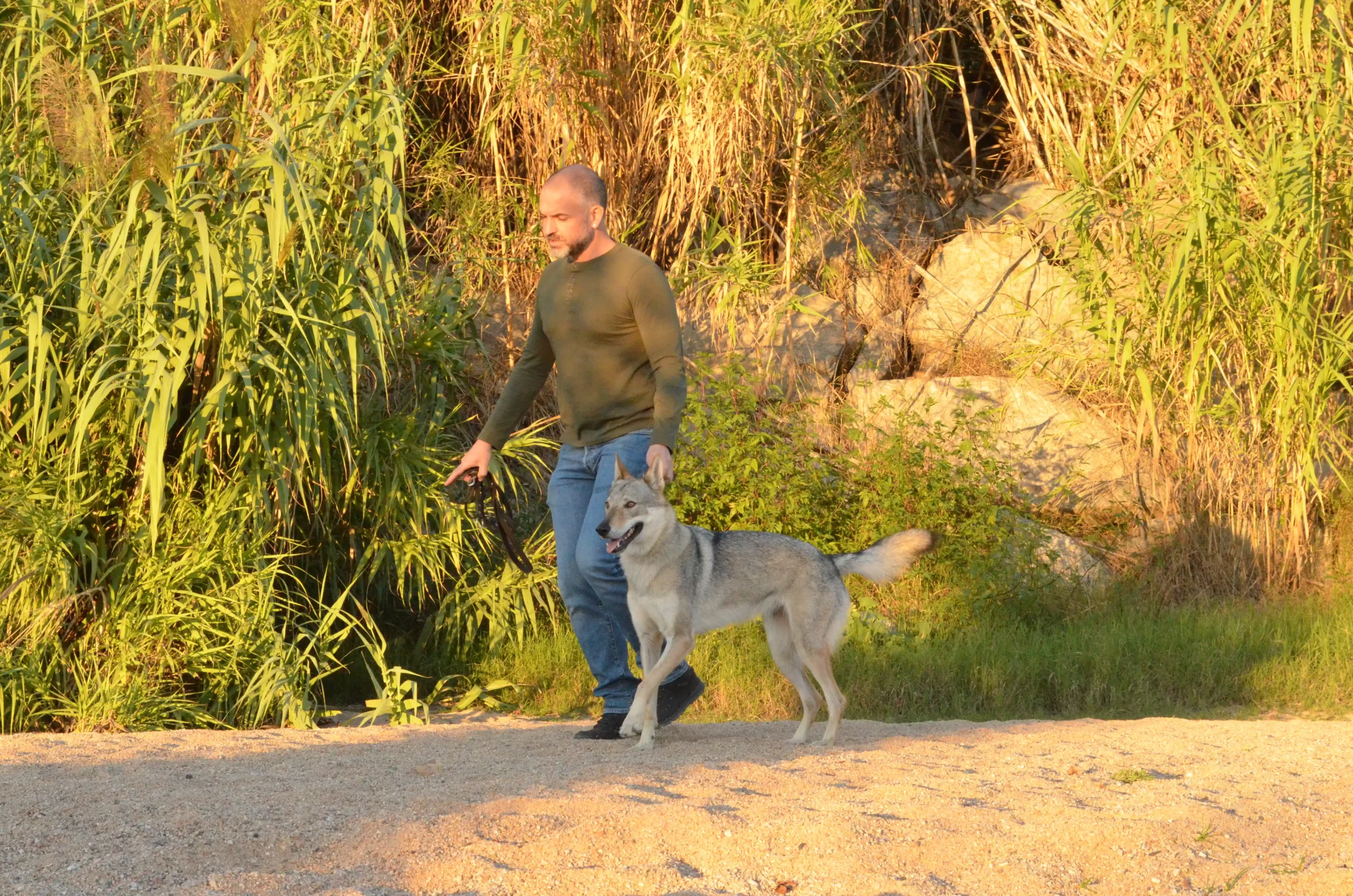Adiestramiento Canino Básico y Avanzado 9 DSC 0122 scaled