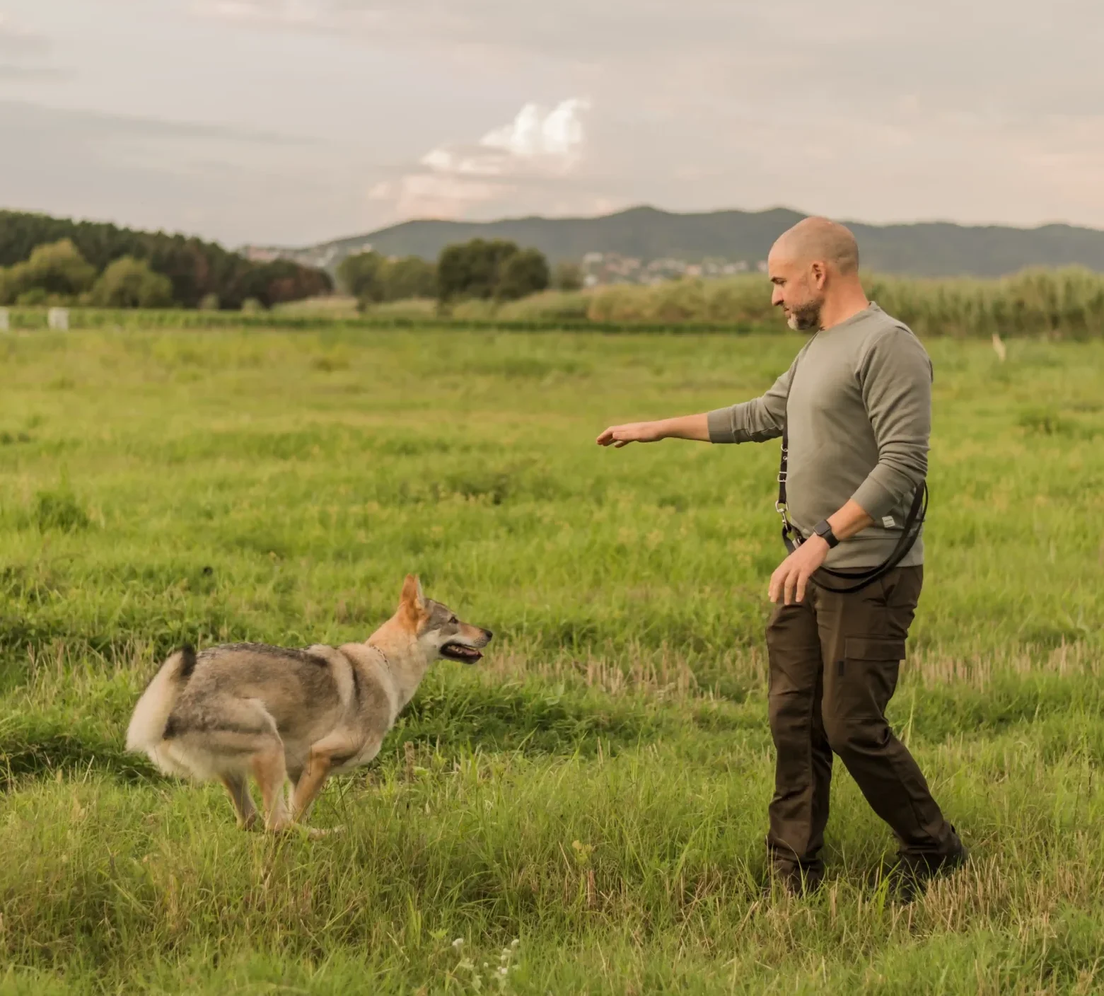 Fali Nondedeu 1 DSC 2129 scaled e1729759645320