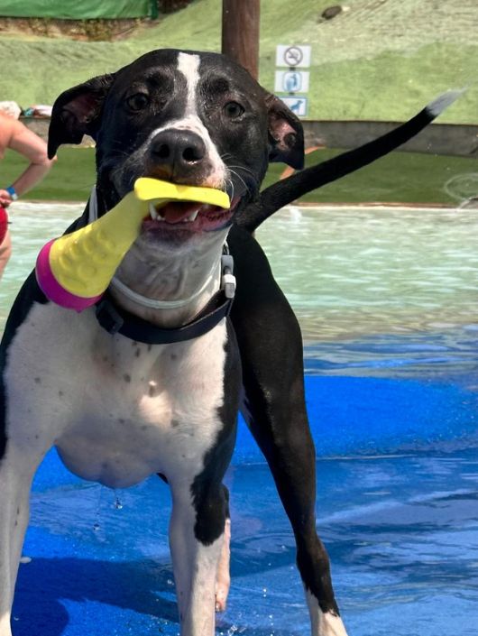 Diseno sin titulo 13