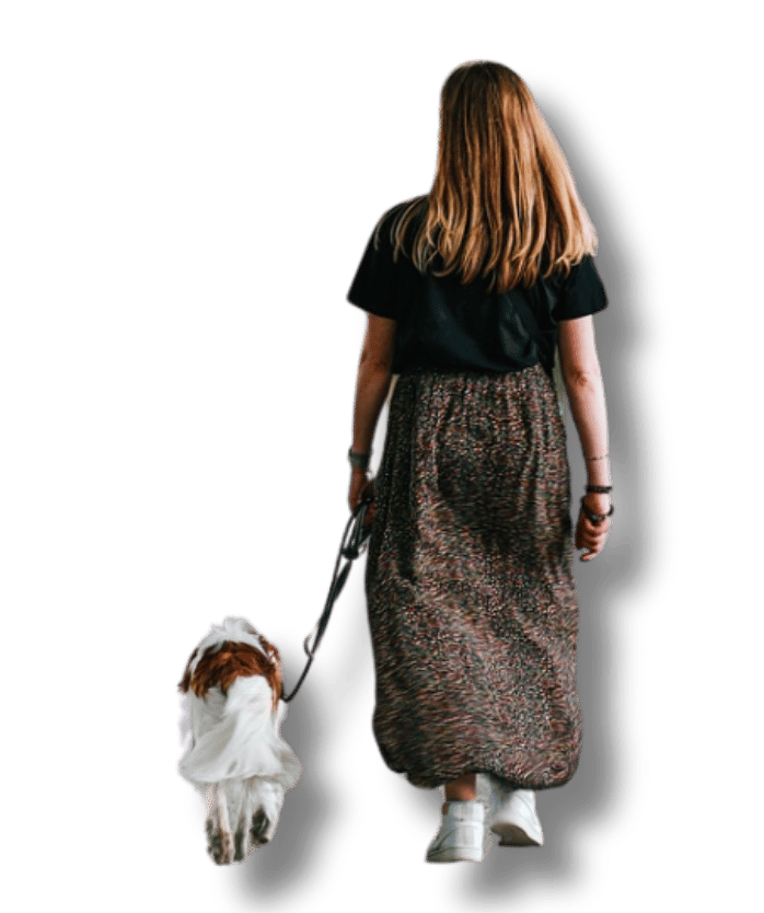 Diseno sin titulo 34