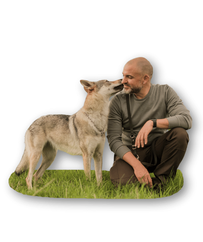 Diseno sin titulo 42