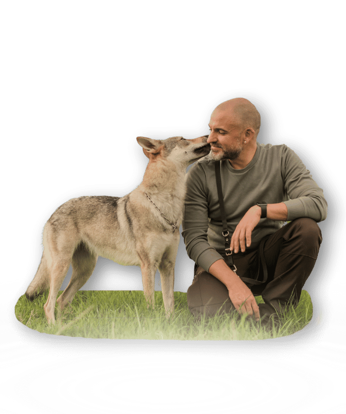 Diseno sin titulo 45