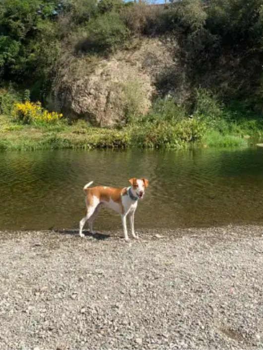 Diseno sin titulo 46