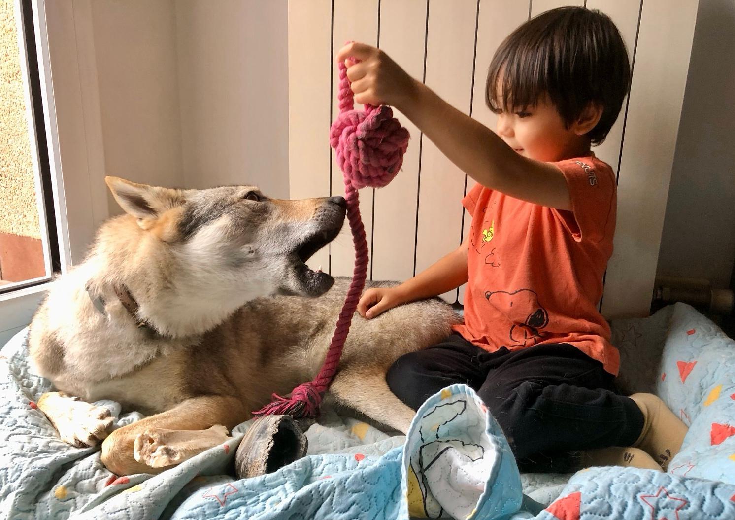 WhatsApp Image 2025 03 24 at 17.36.44 1