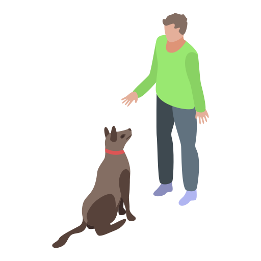 Sesiones grupales de adiestramiento 4 perro 1