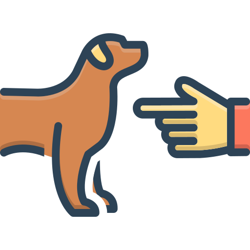 Adiestramiento Canino Básico y Avanzado 2 perro