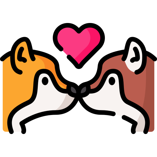 Asesoramiento para la elección del cachorro 9 perros